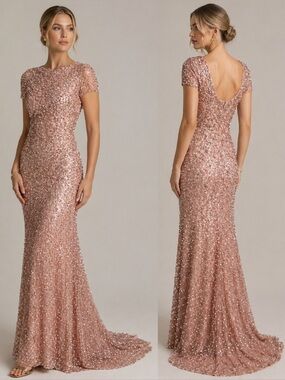 Adrianna Papell Rose Gold Sequin Mesh Sheer Maxi Evening Dress Gown Short Sleeve